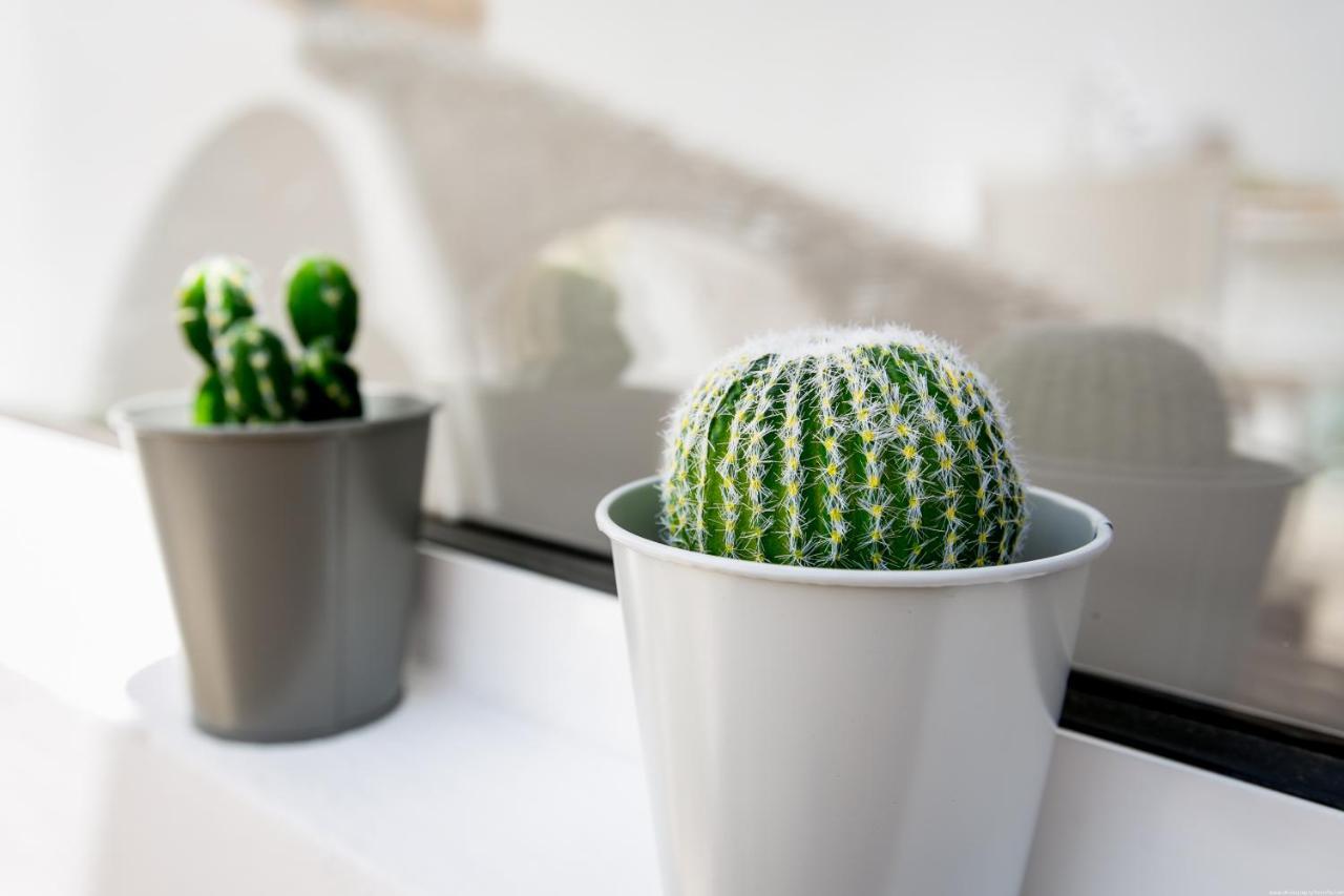 Cactus Apartment Сан Мигел де Абона Екстериор снимка